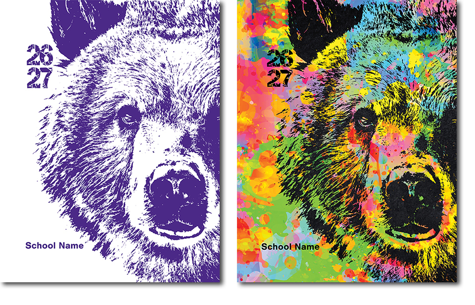 Bear